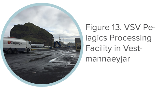 Figure 13. VSV Pelagics Processing Facility in Vestmannaeyjar